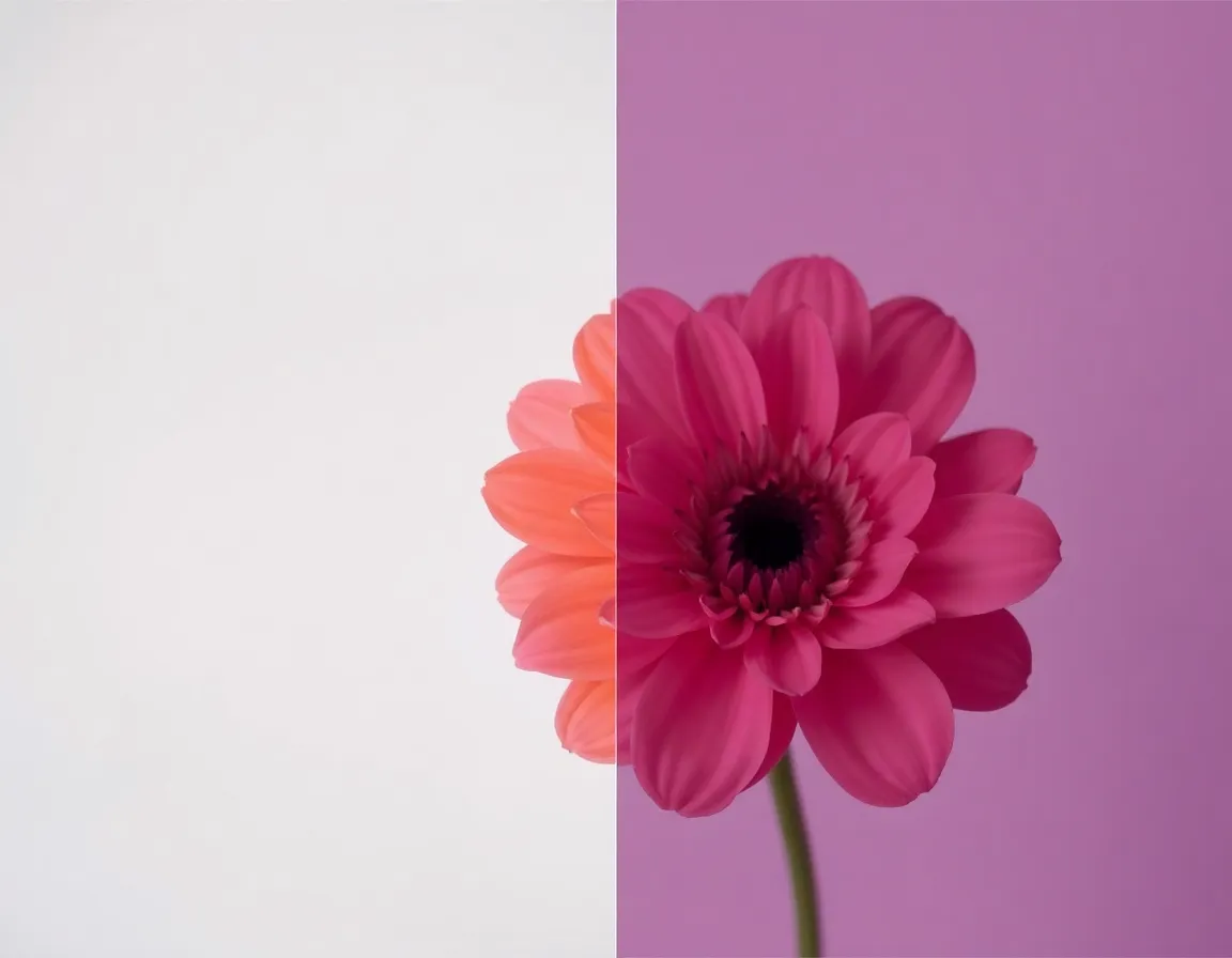 AI Processes Your Image